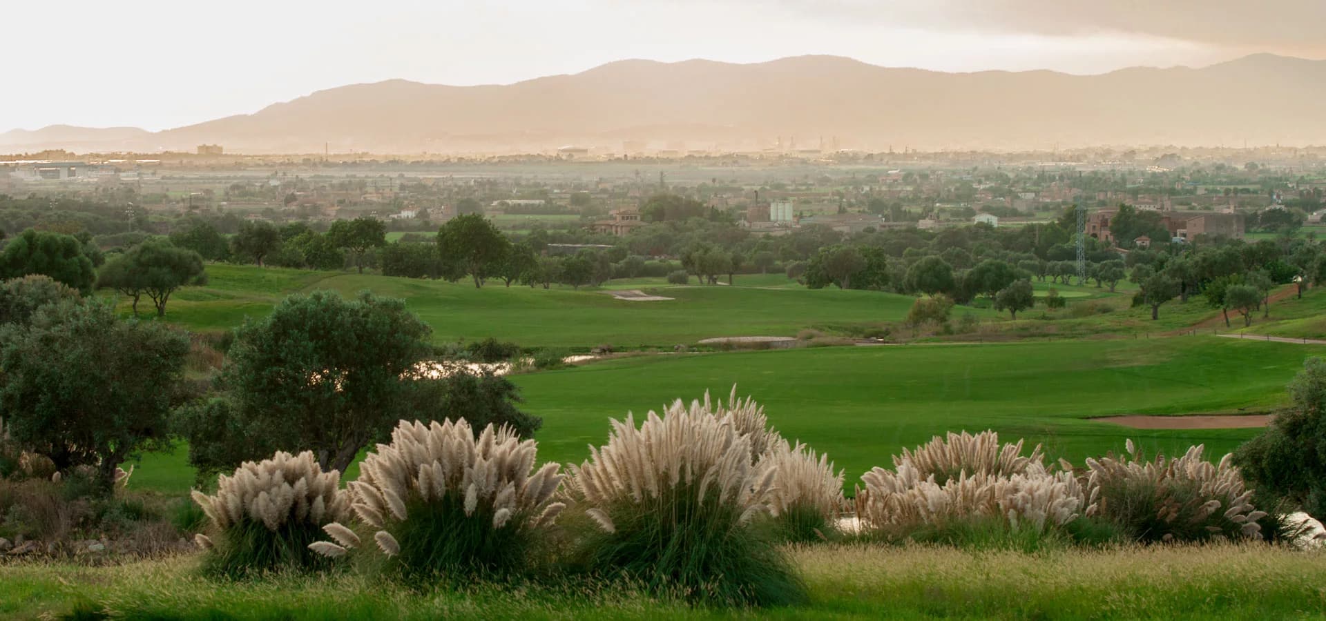 Son Gual closing stretch