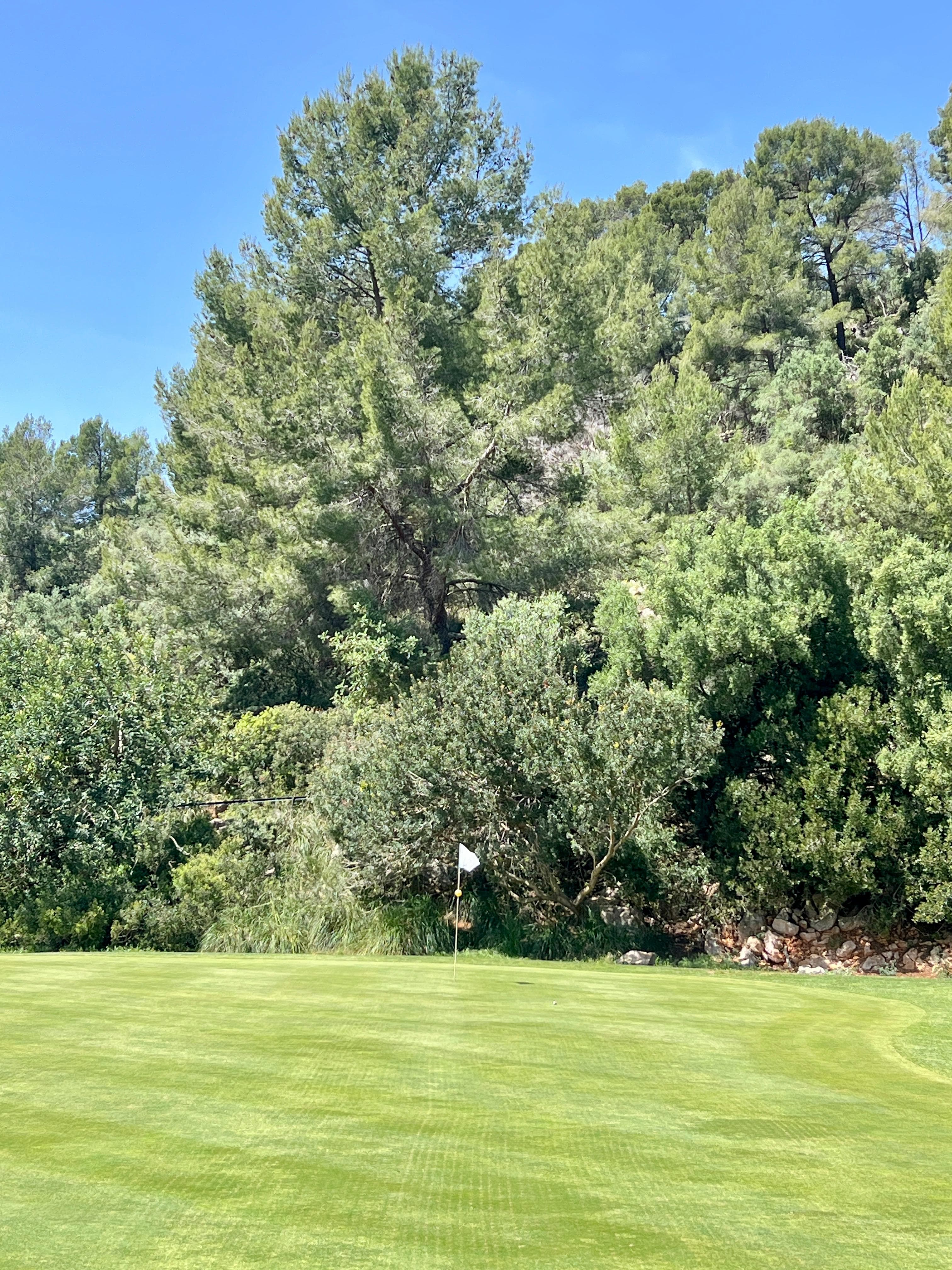 Son Termes golf par 3 12th hole green Mallorca with trees behind