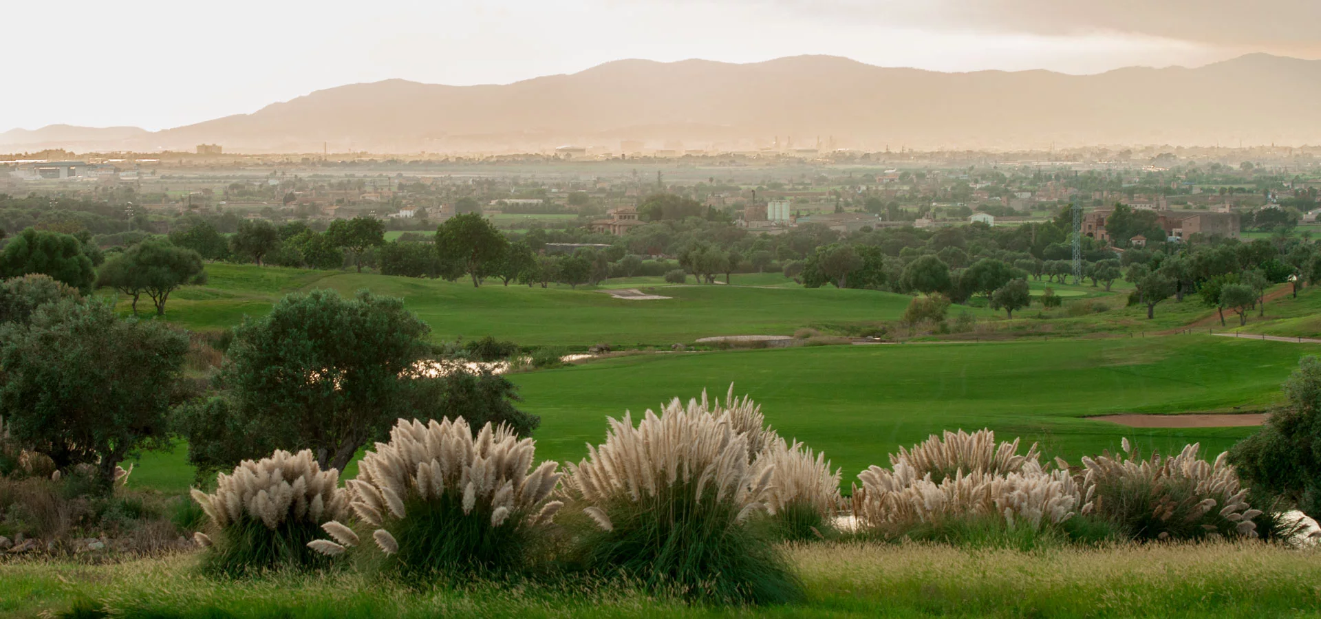 Son Gual closing stretch