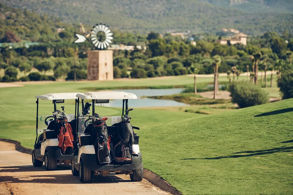 Golf buggies in use