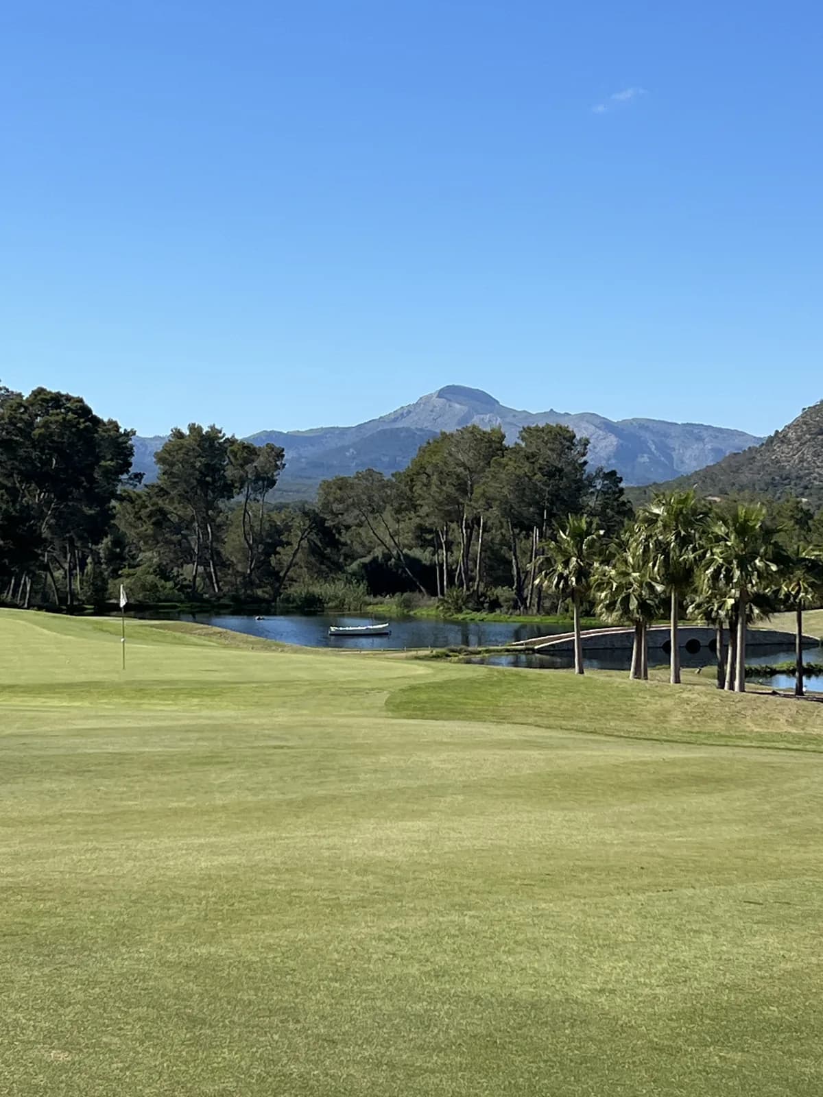 Hole 8 at T Golf Calvià with palm trees and Tramuntana mountains behind the green