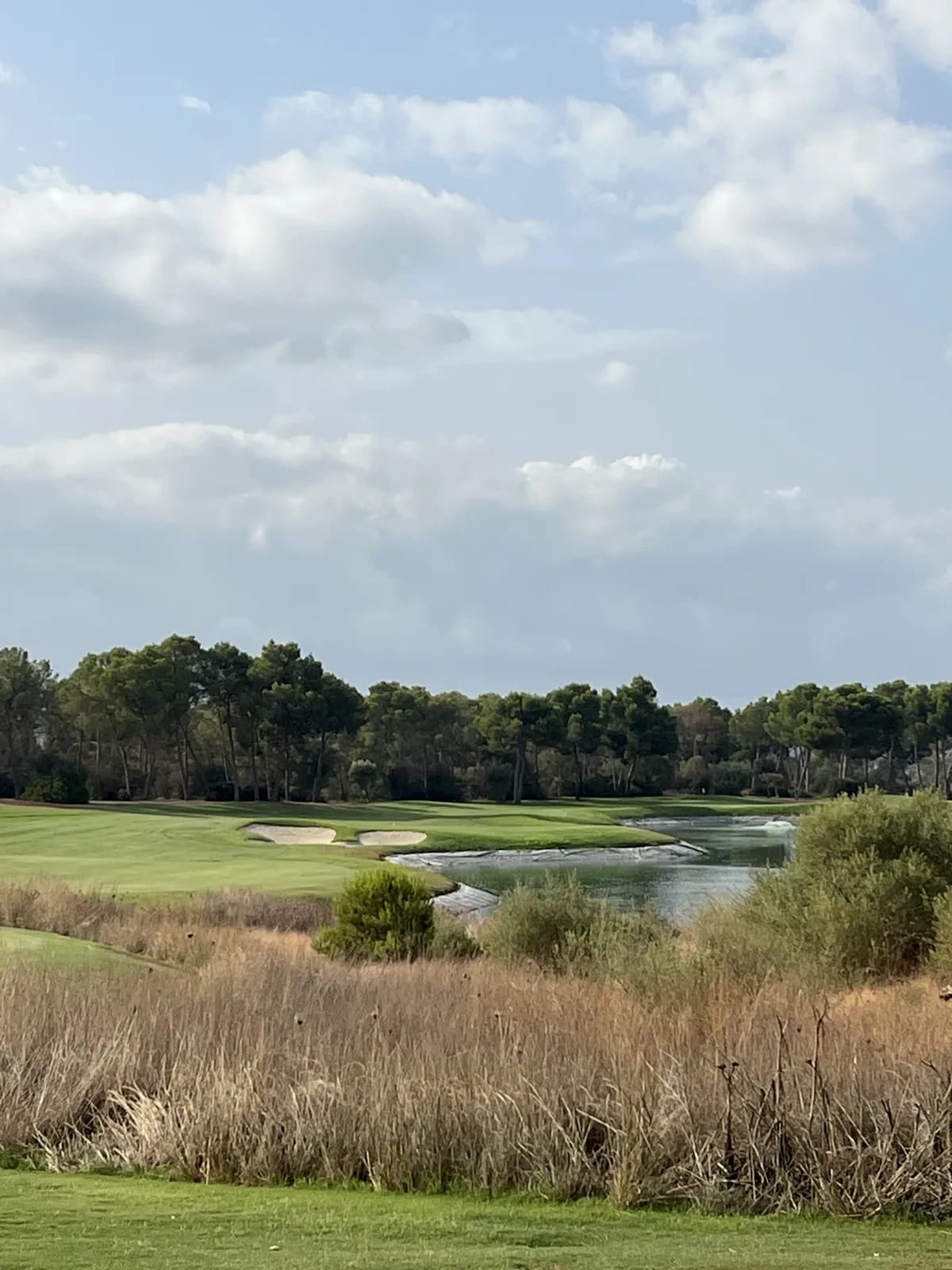 T Golf Palma后九洞被水环绕的果岭,松树环绕