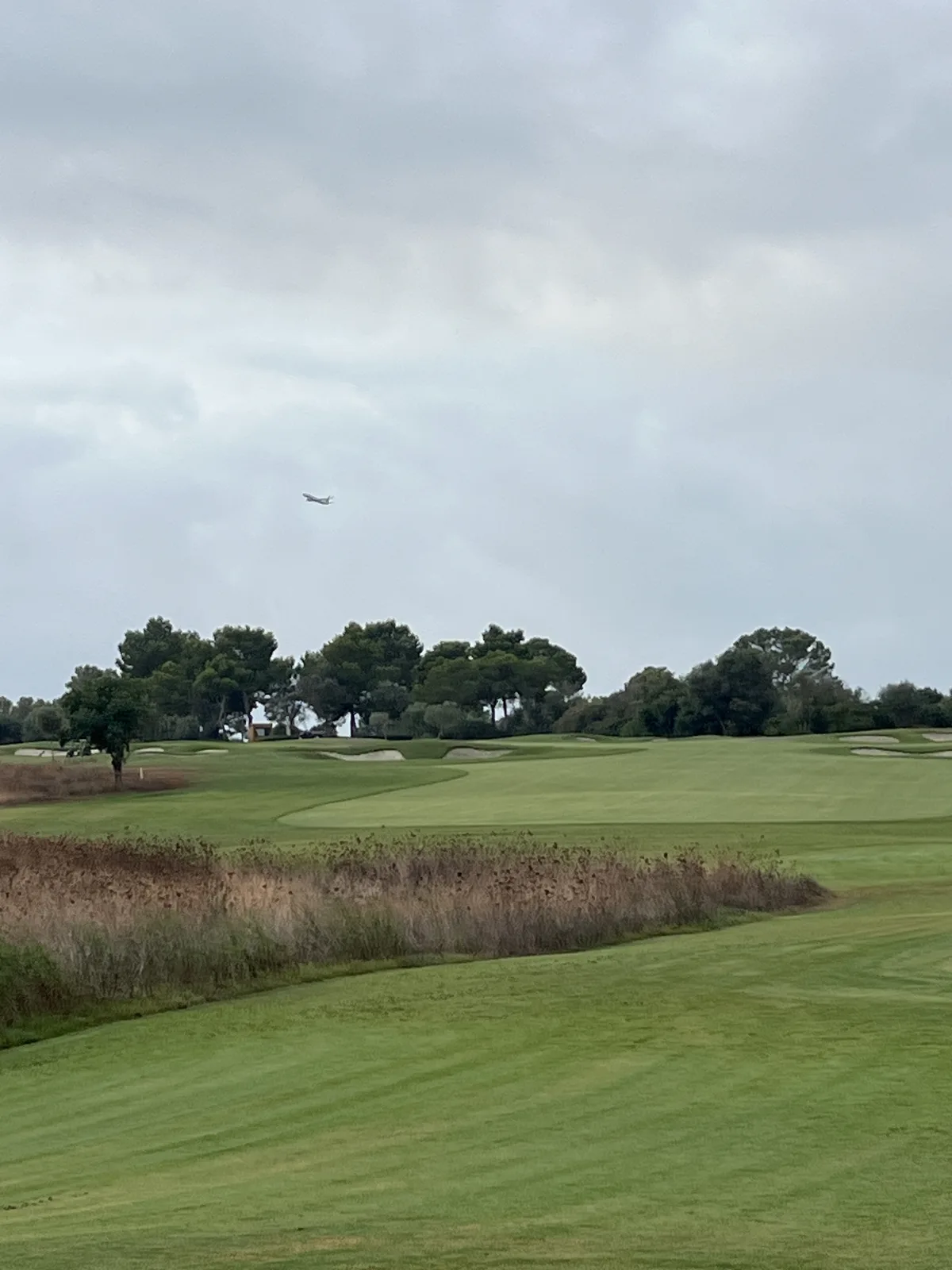 一架飞机飞过T Golf Palma的球道和沙坑,背景是松树
