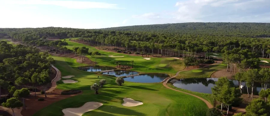 T Golf Palma Review - A PGA Professional's Honest Take (2026)