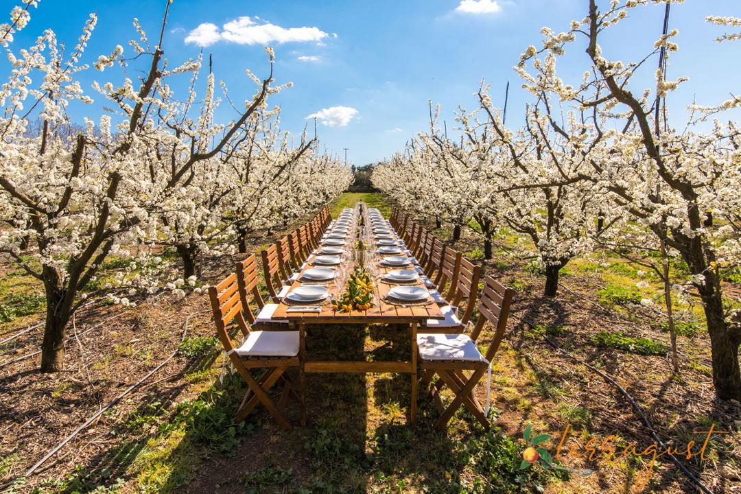Private outdoor dining in Mallorca